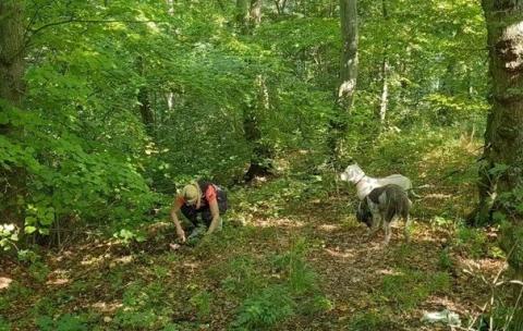 Trüffelanbau und Trüffelsuche mit Hund